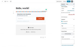 Gutenberg Editor