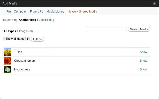Network Shared Media allows sharing sub-blog media
