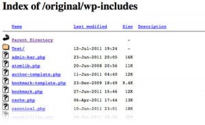 protect directory