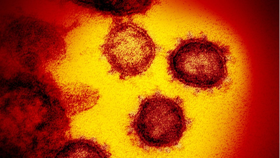 Coronavirus death toll tops 40,000 worldwide, with 820,000 infections