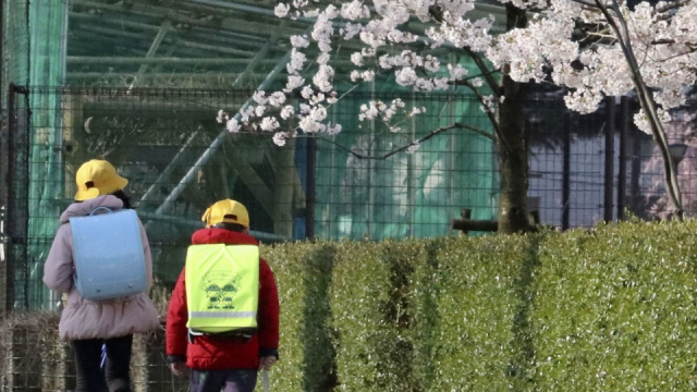 Many schools in Japan reopen after monthlong coronavirus shutdown